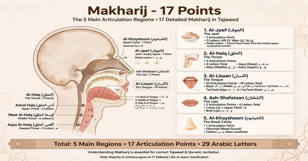 Makharij Al-Huruf - Arabic Letter Articulation Points